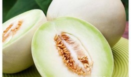 网红吃白兰瓜视频在线观看,在线观看解锁夏日清新口感